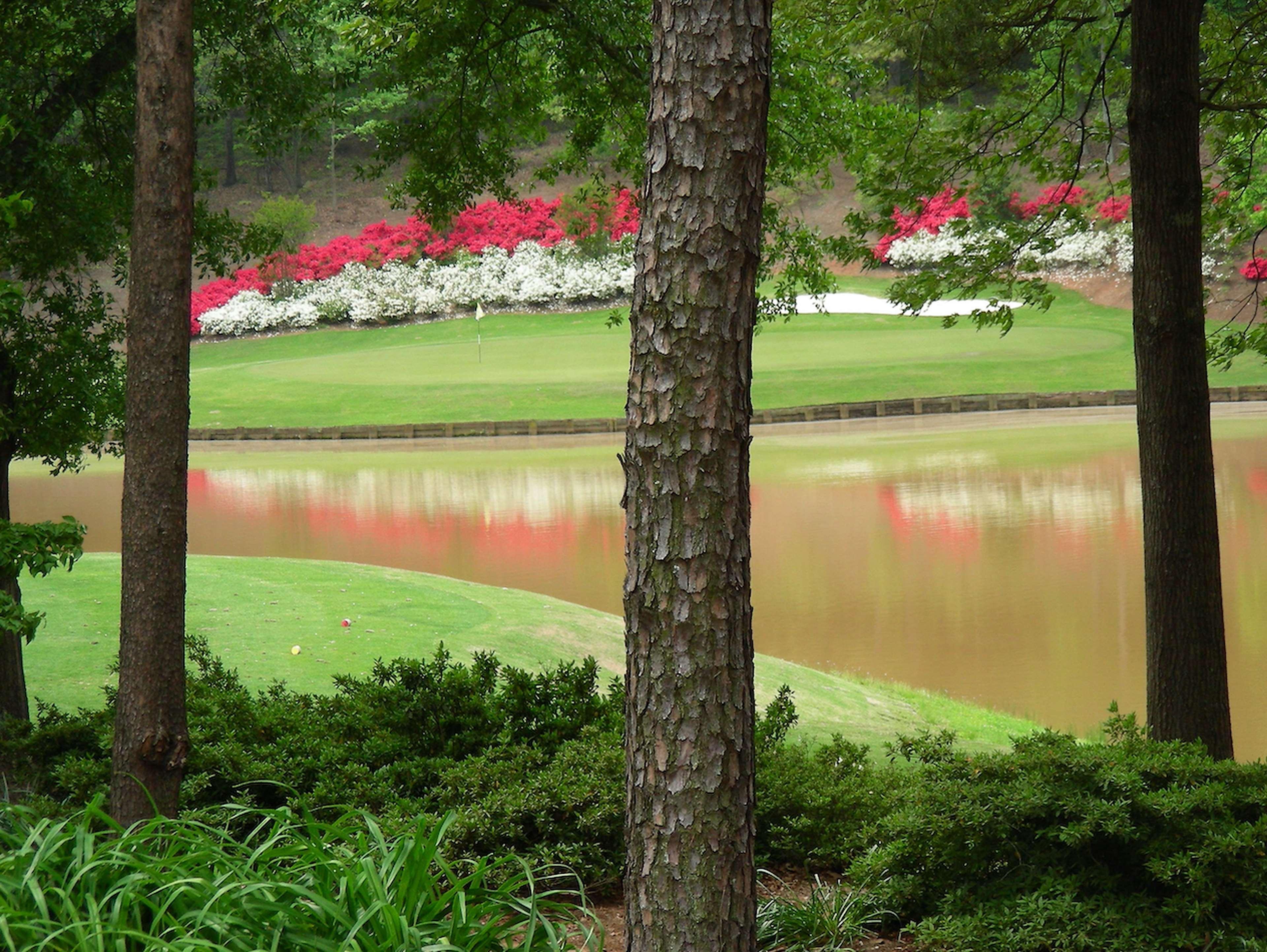 Embassy Suites Greenville Golf Resort&Conference Center Extérieur photo